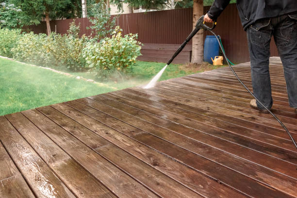 Best Animal Enclosure Cleaning  in Whitehall, MI