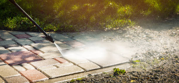 Best Fence Cleaning  in Whitehall, MI