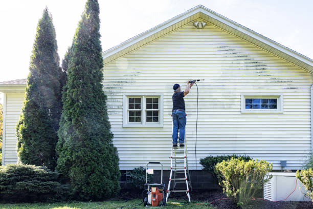 Best Gutter Cleaning  in Whitehall, MI